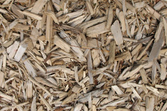biomass boilers The Wood